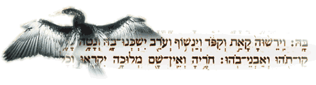 Isaiah 34:11