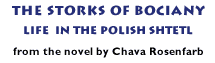 The Storks of Bociany, Chava Rosenfarb