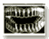 teeth